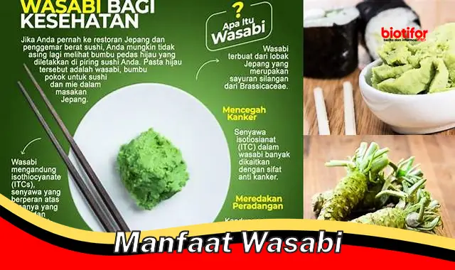 Temukan Manfaat Wasabi yang Jarang Diketahui