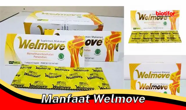 manfaat welmove