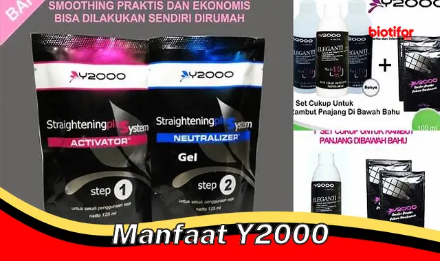 Temukan Manfaat Y2000 yang Jarang Diketahui