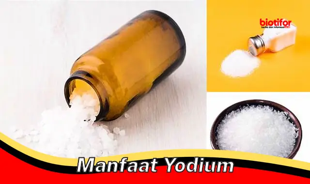 manfaat yodium