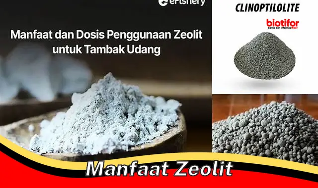 manfaat zeolit