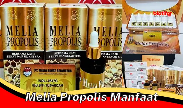 melia propolis manfaat