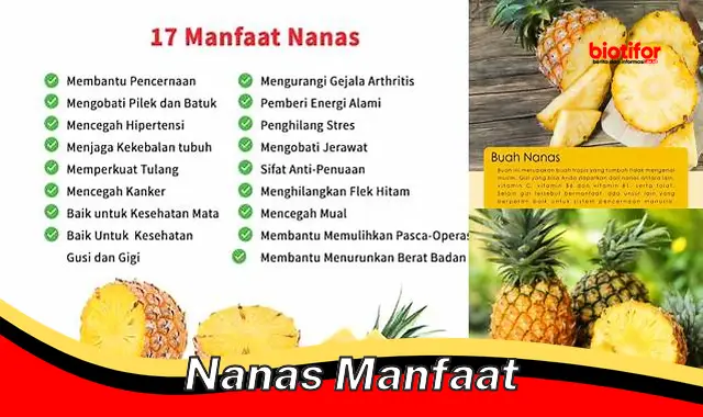 nanas manfaat