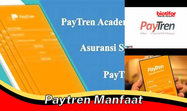 paytren manfaat