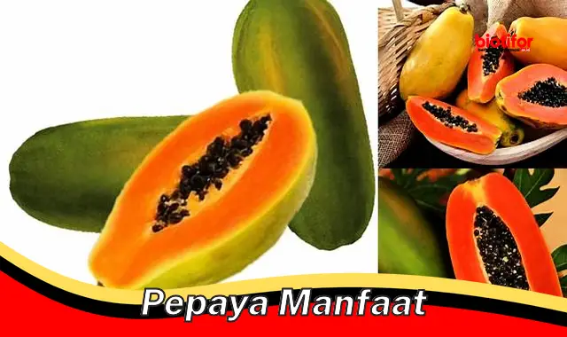 pepaya manfaat