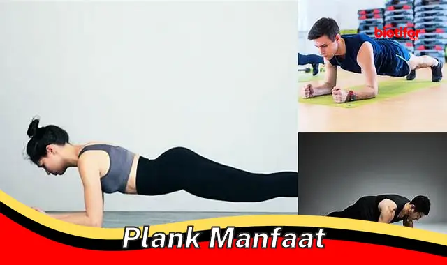 plank manfaat