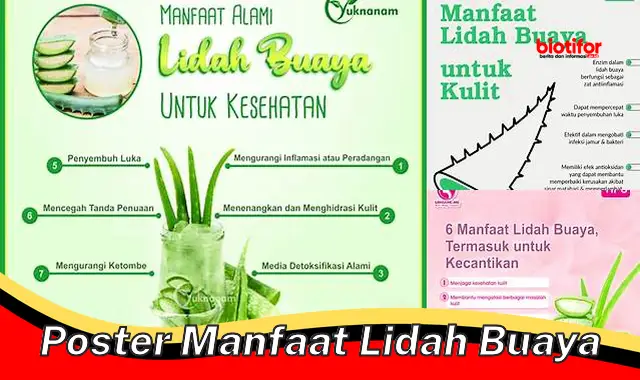 poster manfaat lidah buaya