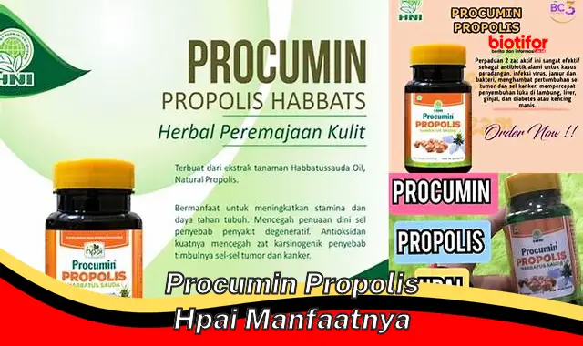 procumin propolis hpai manfaatnya