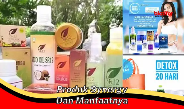 produk synergy dan manfaatnya