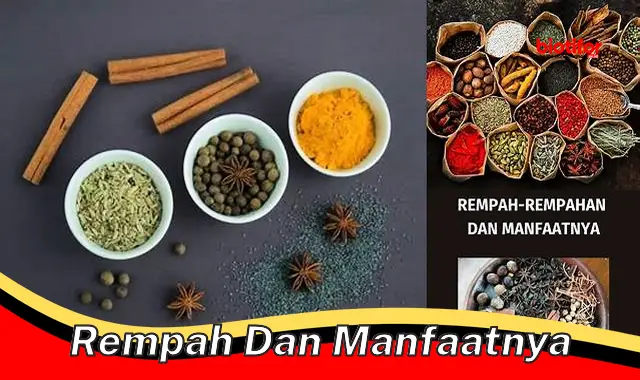 rempah dan manfaatnya