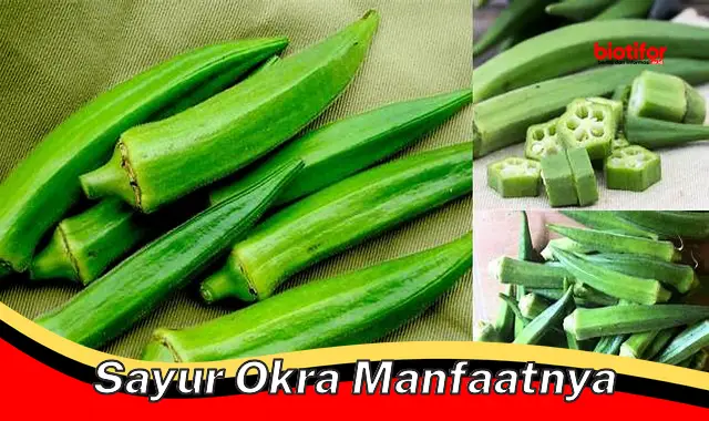 sayur okra manfaatnya