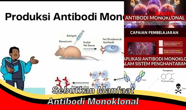 sebutkan manfaat antibodi monoklonal