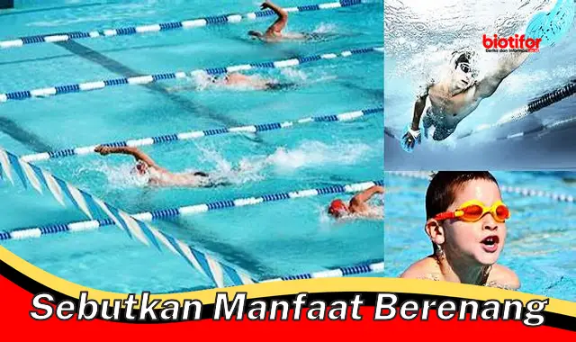 sebutkan manfaat berenang