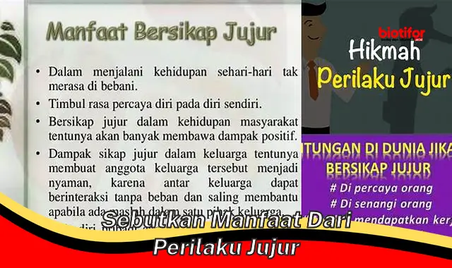 Temukan 5 Manfaat Perilaku Jujur yang Jarang Diketahui