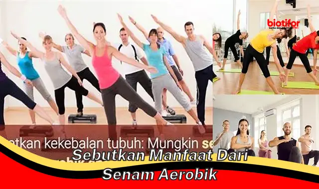 sebutkan manfaat dari senam aerobik