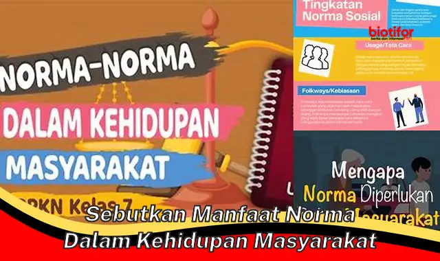 Temukan Manfaat Norma Dalam Masyarakat yang Perlu Anda Ketahui