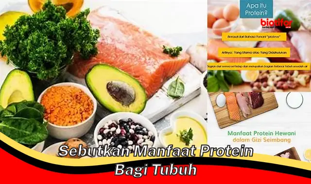 Temukan Manfaat Protein yang Jarang Diketahui, Wajib Kamu Tahu