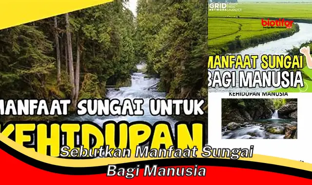 Temukan 5 Manfaat Sungai yang Jarang Diketahui