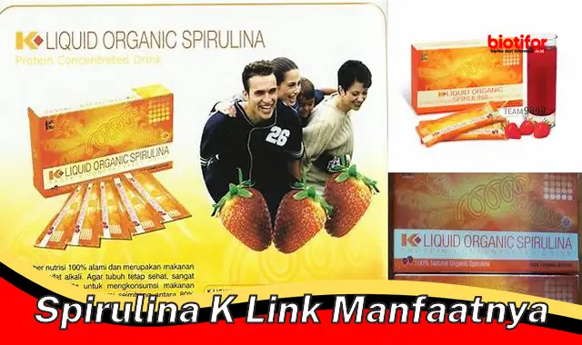 spirulina k link manfaatnya