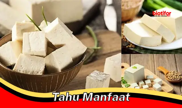 tahu manfaat