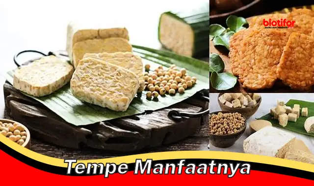 Temukan Manfaat Tempe yang Anda Belum Tahu