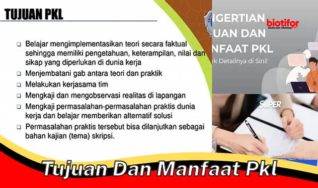 Ungkap Manfaat PKL yang Jarang Diketahui