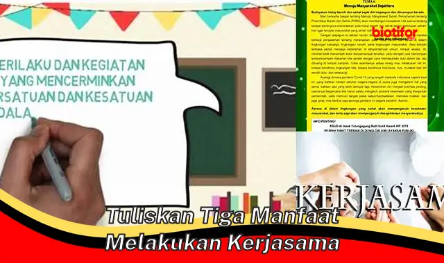 Temukan 3 Manfaat Kerja Sama yang Jarang Diketahui