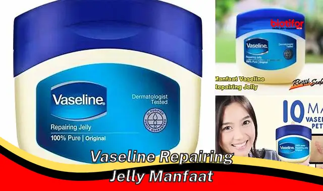 vaseline repairing jelly manfaat