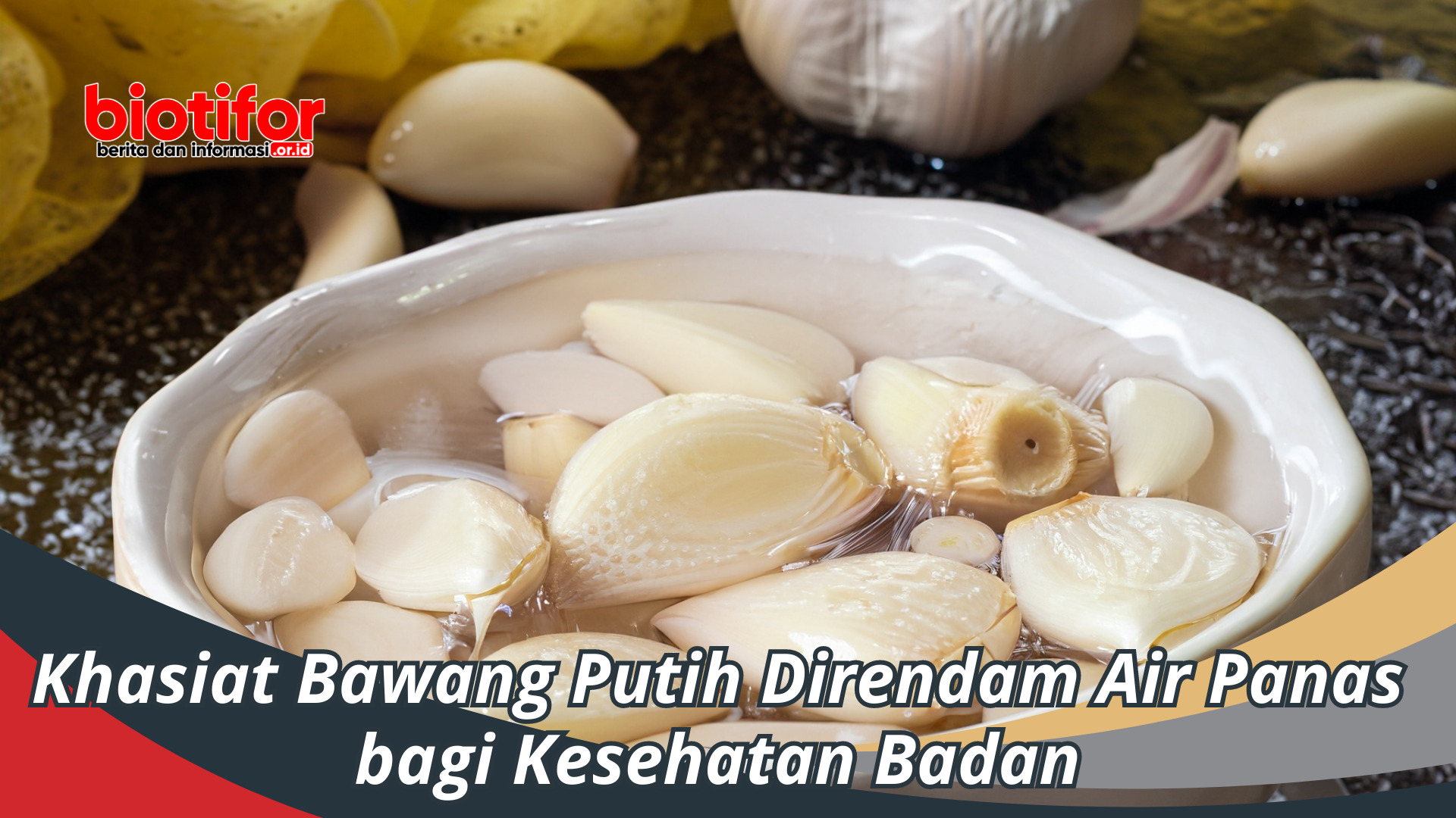 Khasiat Bawang Putih Direndam Air Panas bagi Kesehatan Badan