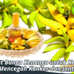 manfaat bunga kenanga