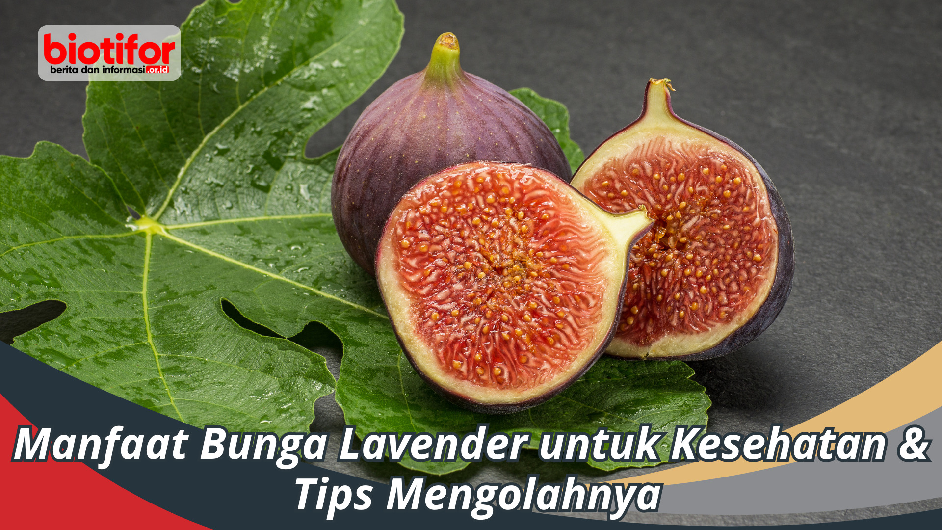 10 Manfaat Buah Tin Untuk Kesehatan Badan - Biotifor