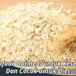 manfaat oatmeal