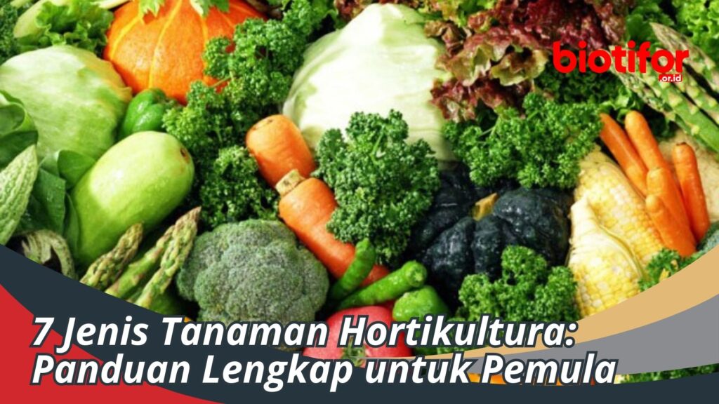 7 Jenis Tanaman Hortikultura: Panduan Lengkap Untuk Pemula