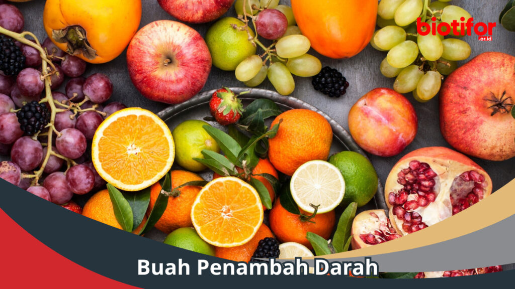 15 Buah Penambah Darah, Sehat Dengan Alami - Biotifor