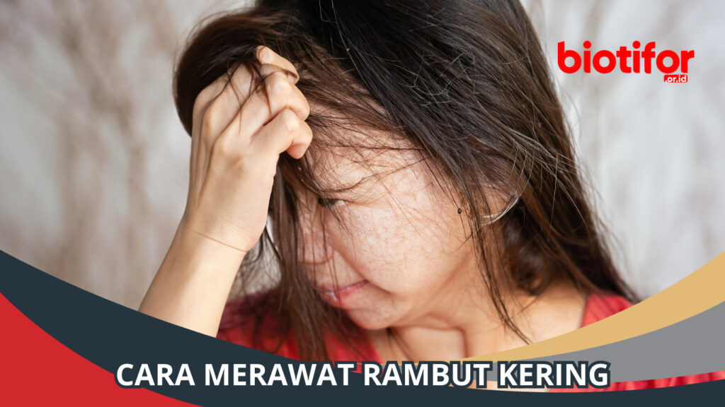 Cara Merawat Rambut Kering: Tips Sederhana Rambut Sehat - Biotifor