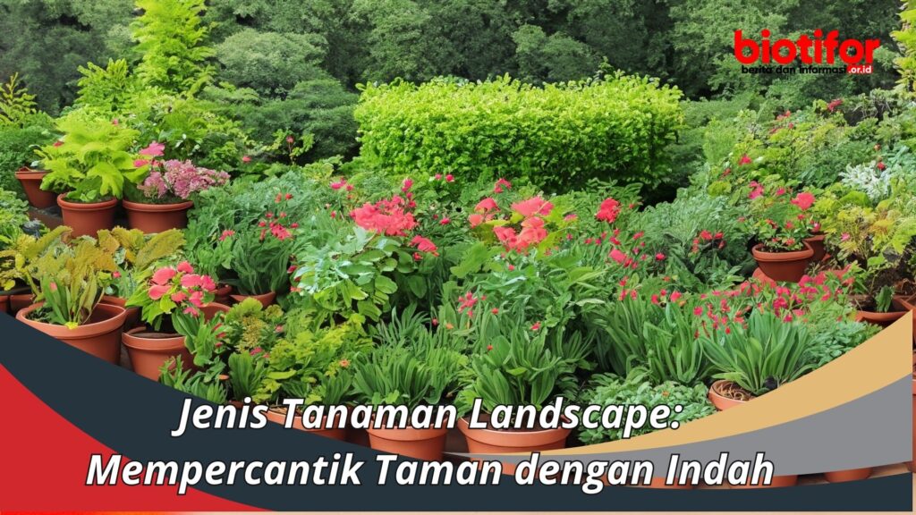 Jenis Tanaman Landscape: Mempercantik Taman dengan Indah