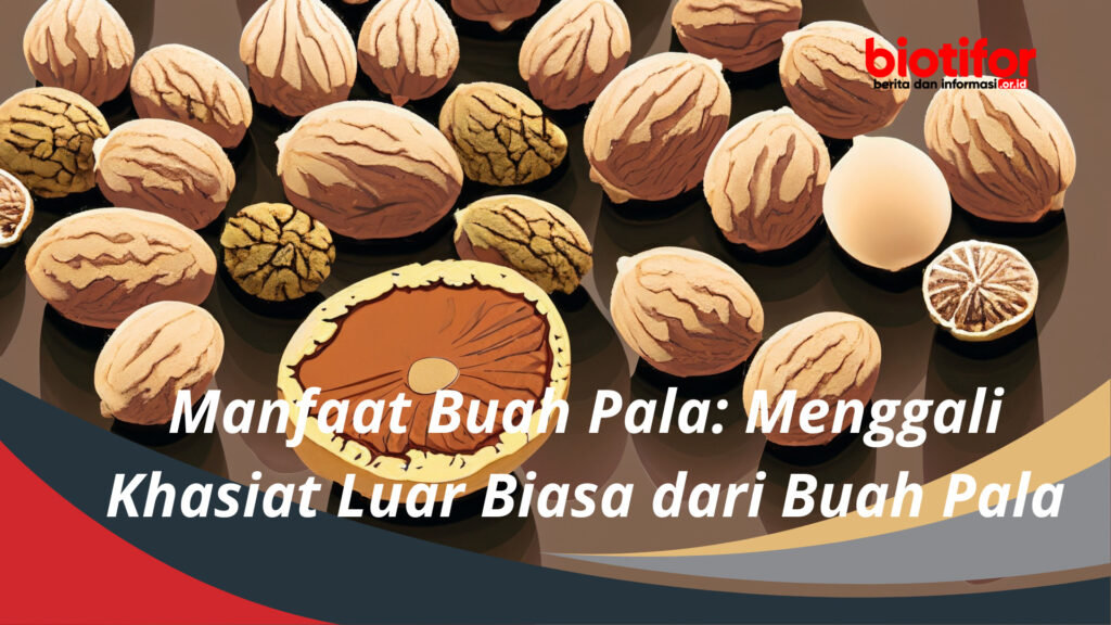 Manfaat Buah Pala Menggali Khasiat Luar Biasa Dari Buah Pala Biotifor