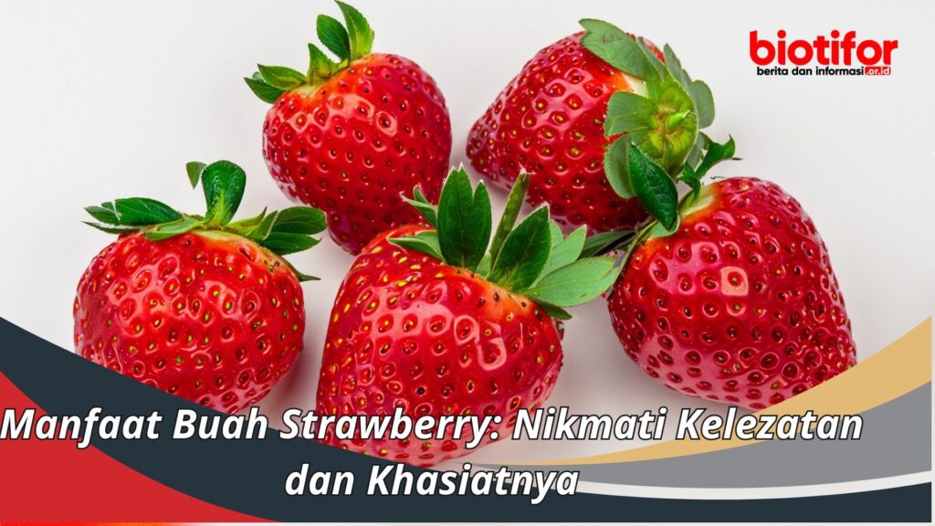 Manfaat Buah Strawberry Nikmati Kelezatan Dan Khasiatnya