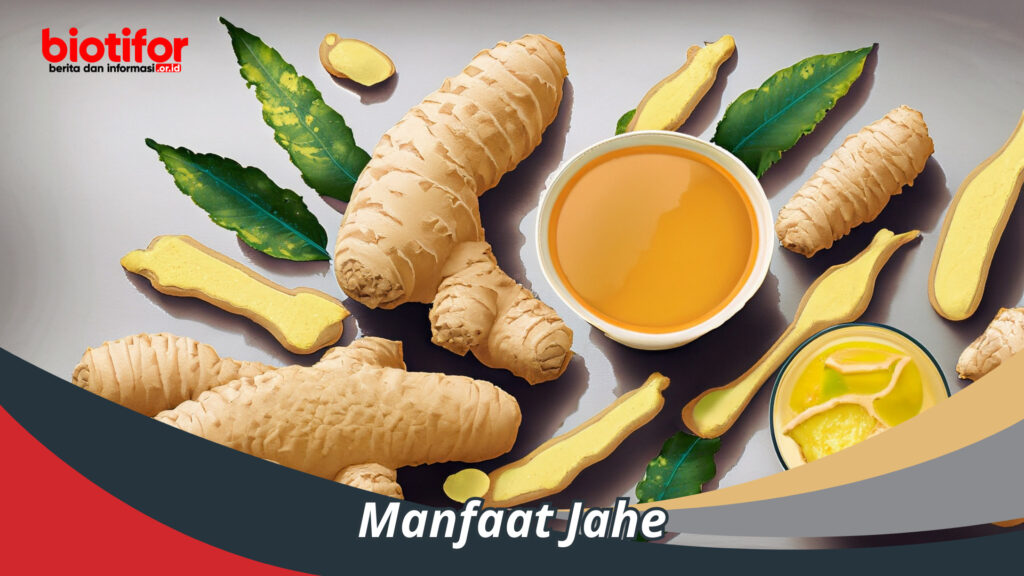 Manfaat Jahe: Khasiat Luar Biasa Dari Rempah Ajaib - Biotifor