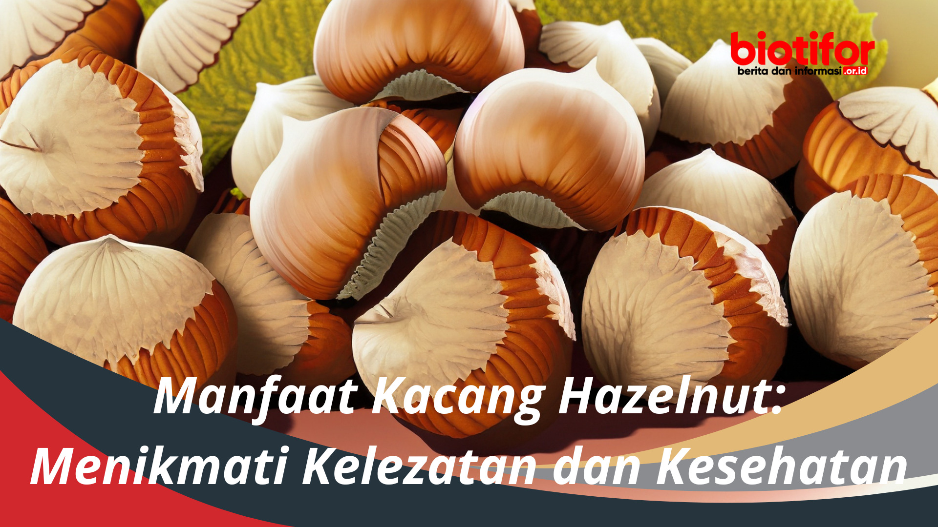 Manfaat Kacang Hazelnut: Menikmati Kelezatan dan Kesehatan