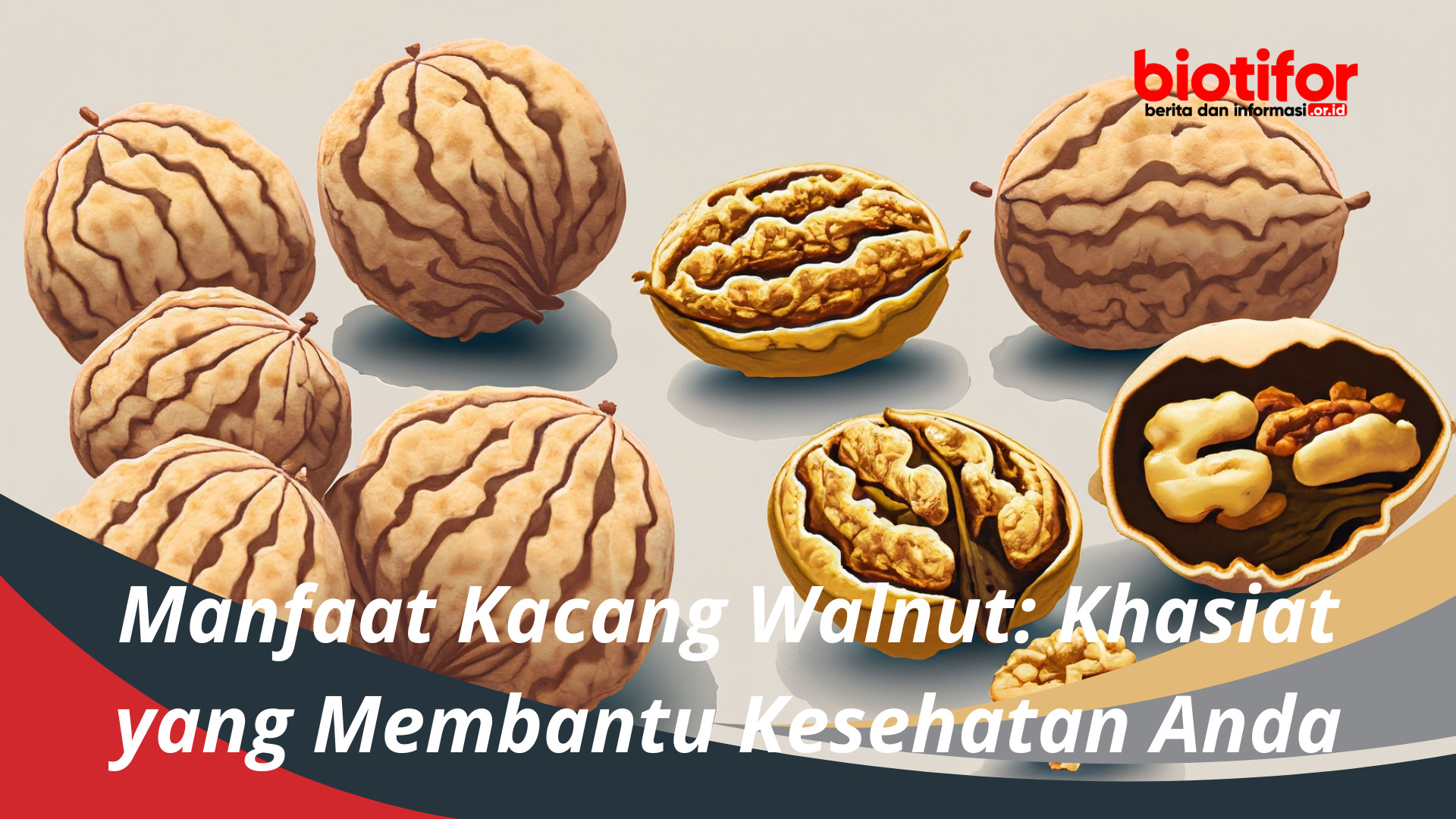 Manfaat Kacang Walnut: Khasiat yang Membantu Kesehatan Anda