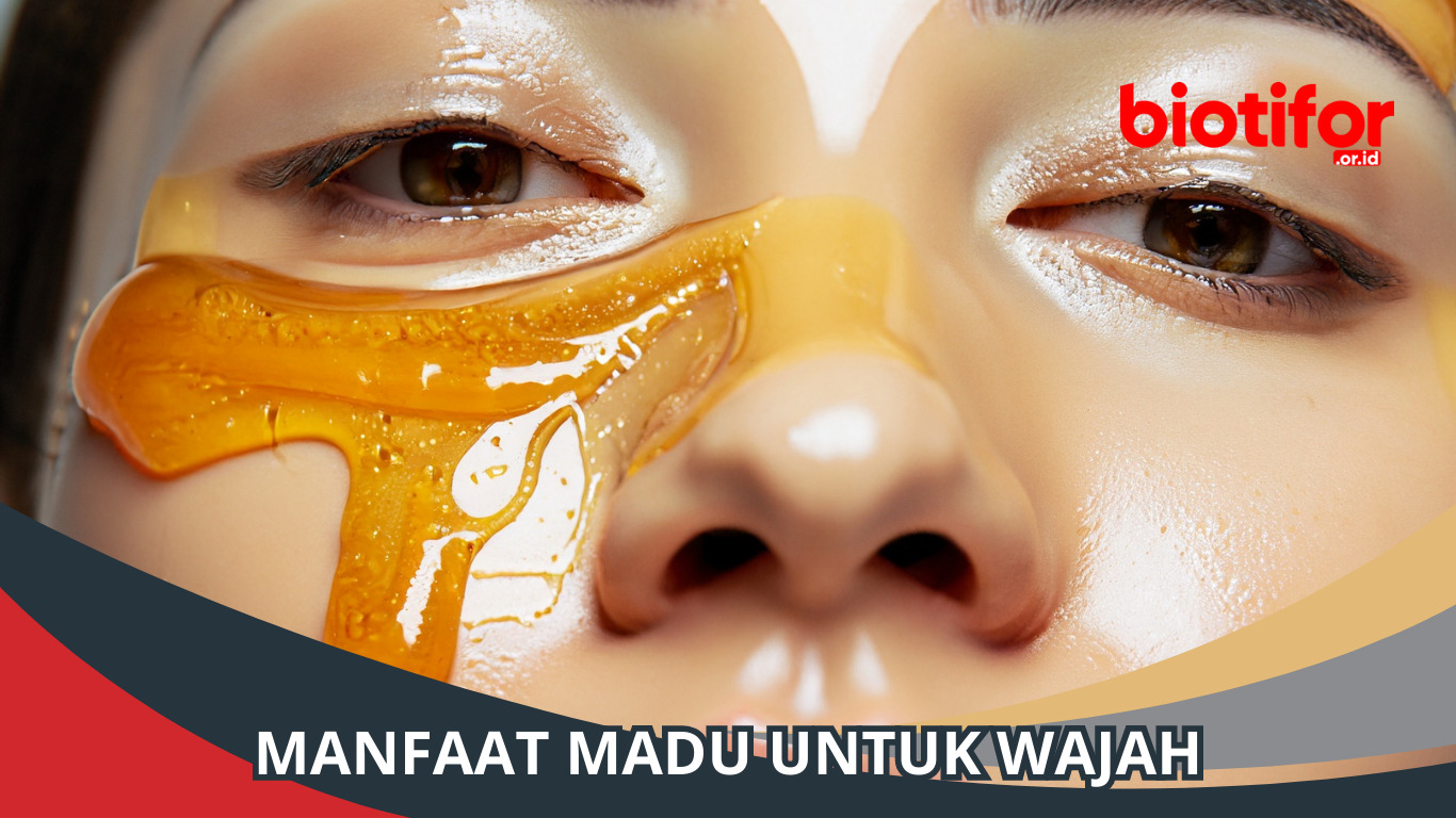 Manfaat Madu untuk Wajah: Berkulau dengan Alami