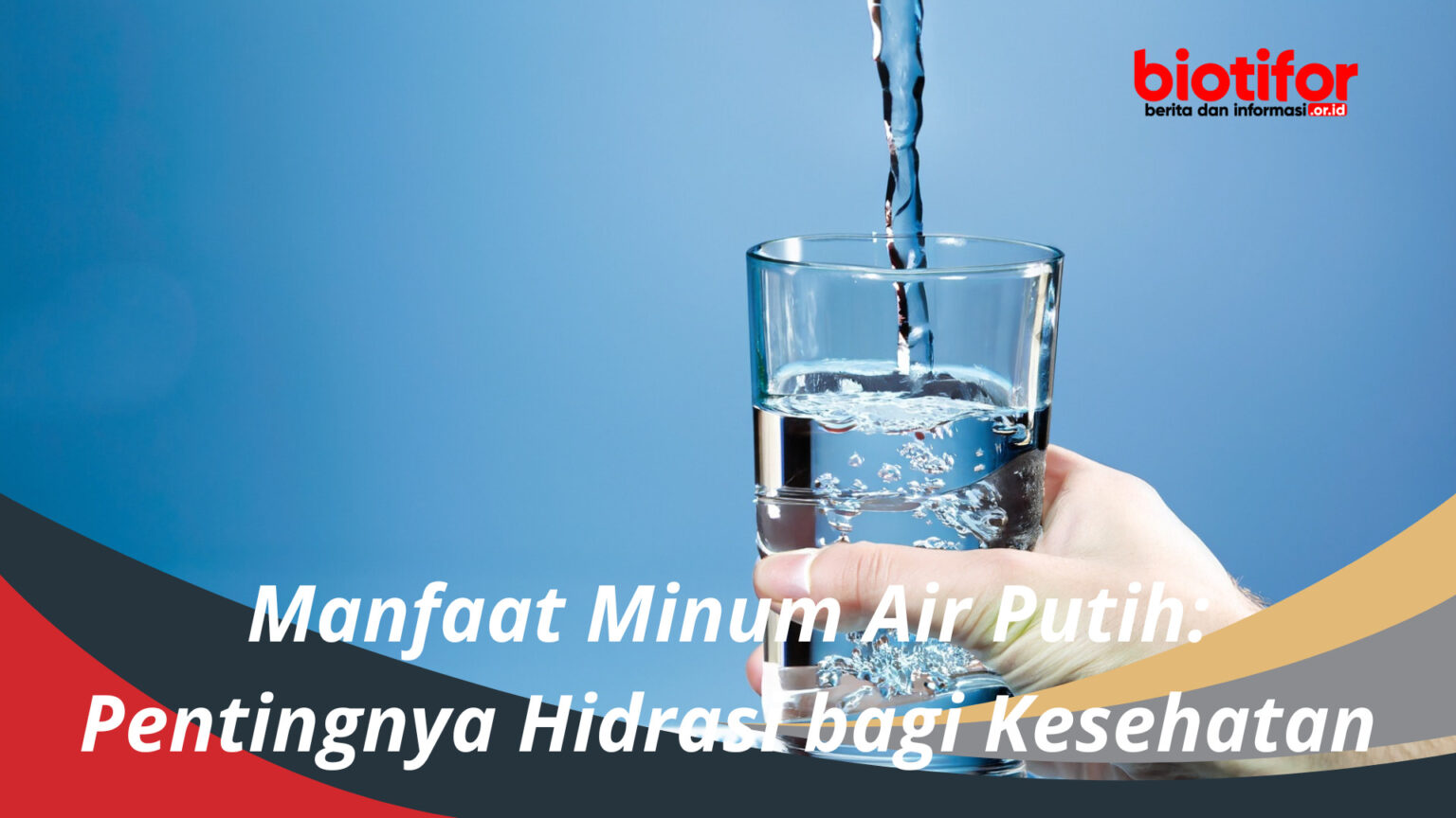 Manfaat Minum Air Putih Pentingnya Hidrasi Bagi Kesehatan Biotifor 2915