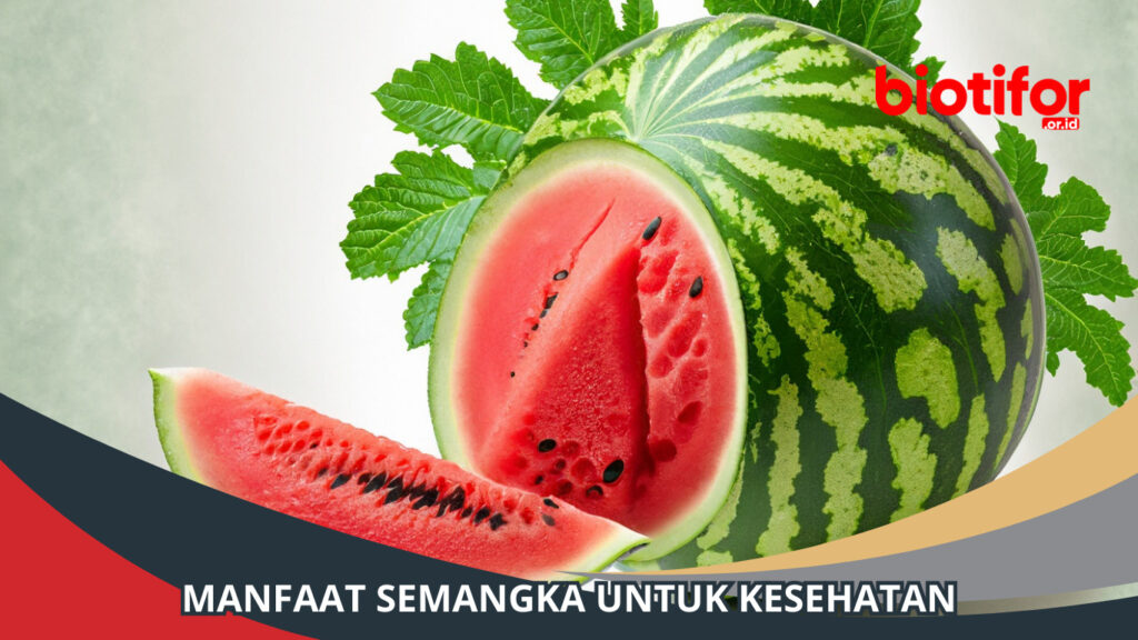 Berbagai Manfaat Semangka Untuk Kesehatan, Simak! - Biotifor