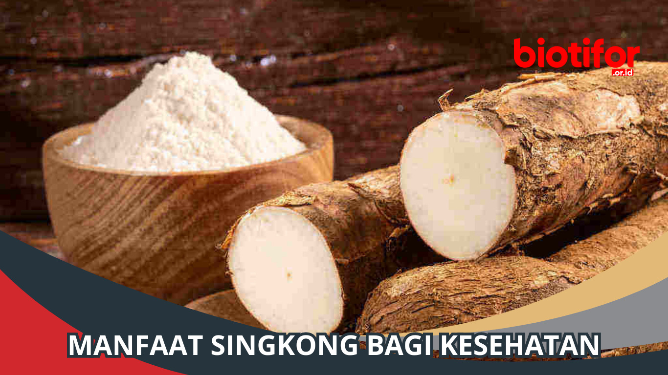 Manfaat Singkong: Kesehatan dan Kehidupan yang Tersembunyi