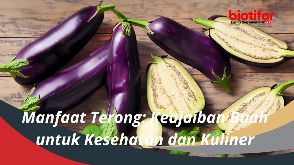 Manfaat Terong Keajaiban Buah Untuk Kesehatan Dan Kuliner Biotifor