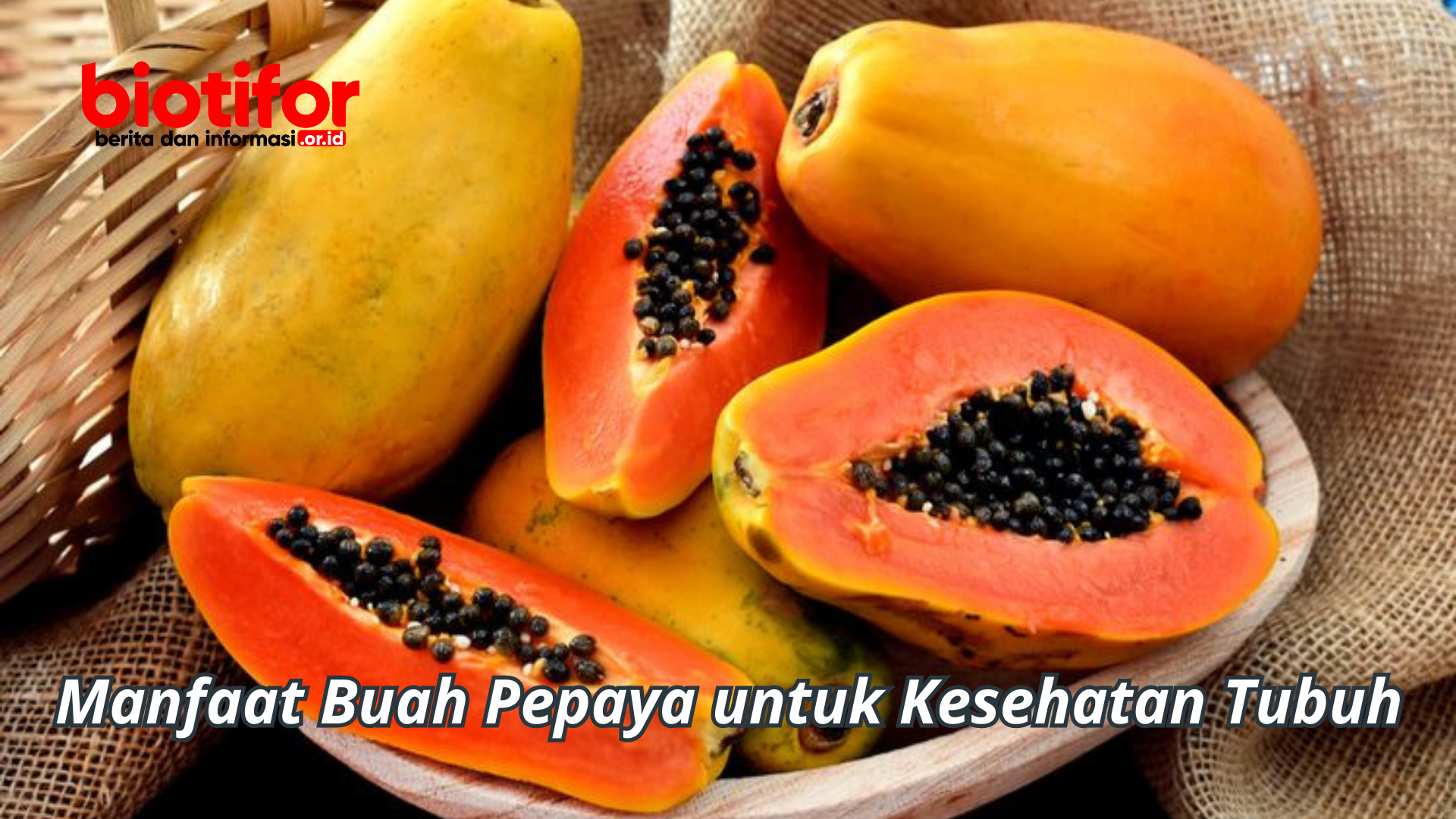 Segudang Manfaat Buah Pepaya untuk Kesehatan