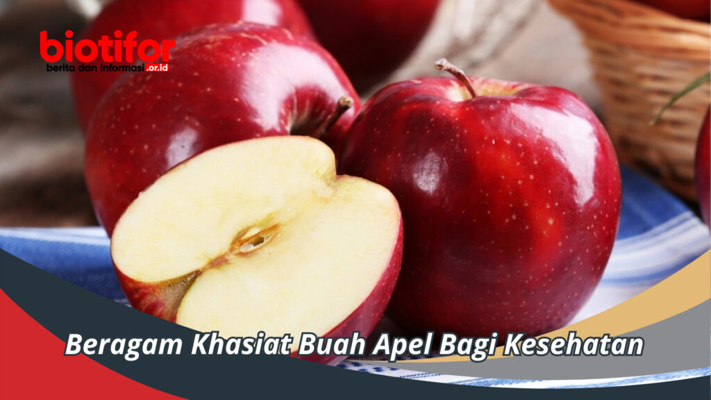 Beragam Khasiat Buah Apel Bagi Kesehatan - Biotifor