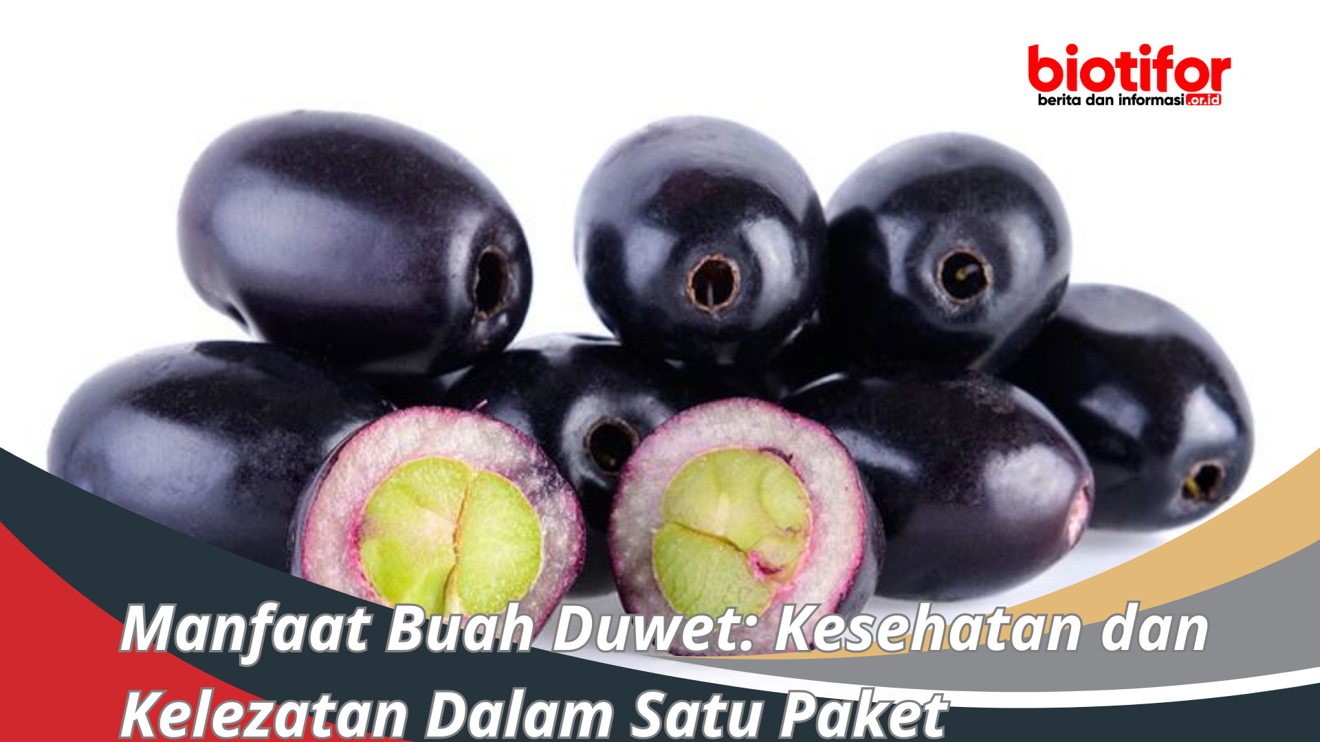 Manfaat Buah Duwet: Kesehatan dan Kelezatan Dalam Satu Paket