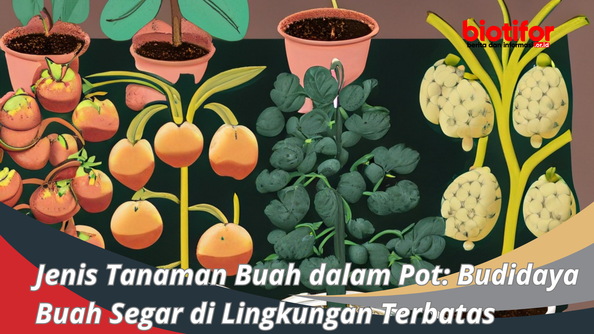 Jenis Tanaman Buah dalam Pot Budidaya di Lingkungan Terbatas